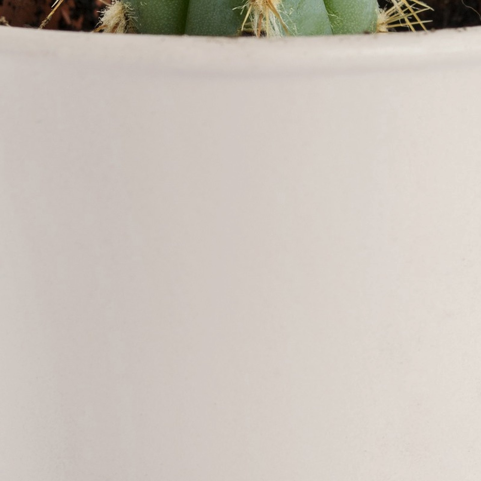 Desk Plant Pot, Self-Watering — 2